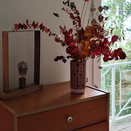 La Palmeraie Saintaise Saintes