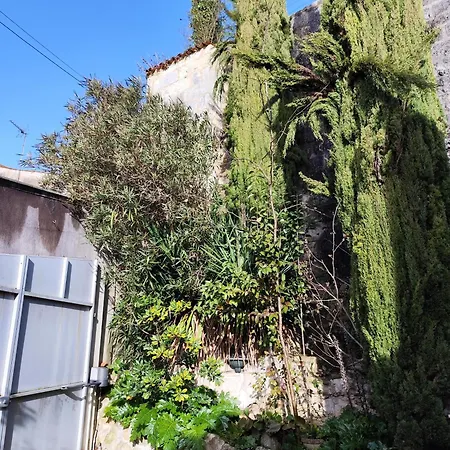La Palmeraie Saintaise