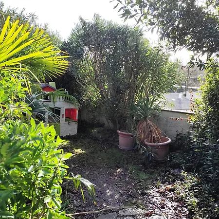 La Palmeraie Saintaise