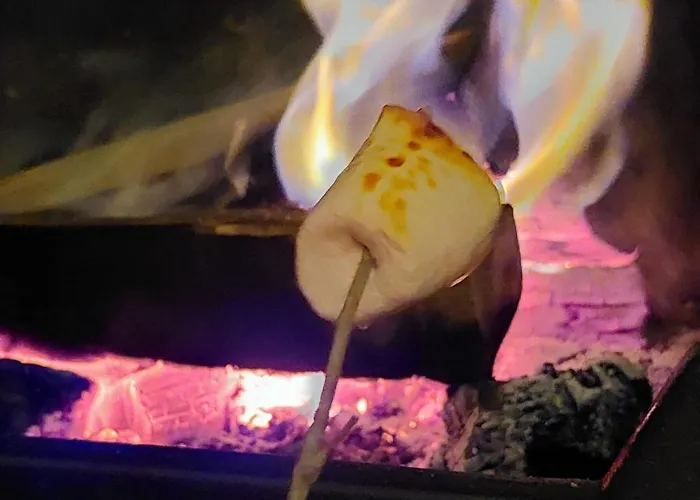 La Palmeraie Saintaise Saintes