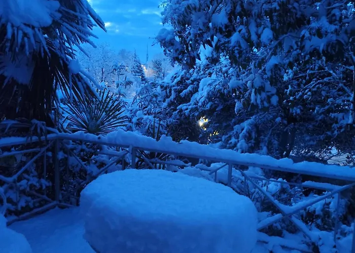 La Palmeraie Saintaise * Saintes