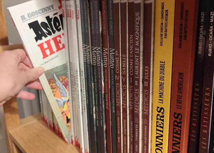 Hébergement de vacances La Palmeraie Saintaise *