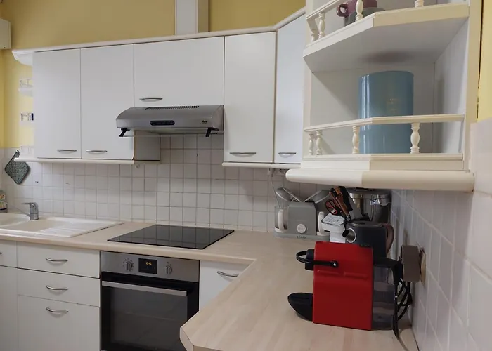 La Palmeraie Saintaise Hébergement de vacances Saintes