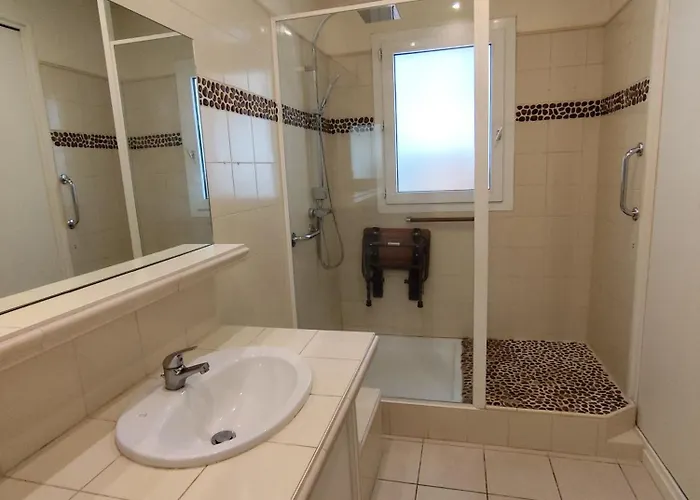 Hébergement de vacances La Palmeraie Saintaise *