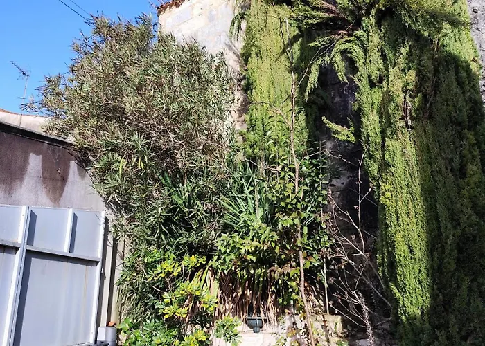 La Palmeraie Saintaise