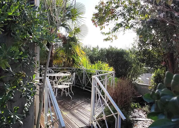 Hébergement de vacances La Palmeraie Saintaise