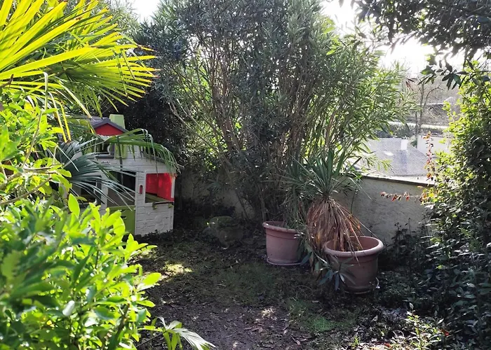 La Palmeraie Saintaise